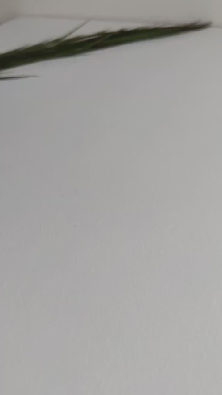 CLARA | Terracotta Earrings | Terracotta Boho Earrings | Dangle Polymer Clay Jewelry | autumn color | Jewelry Bijoux | Terracotta Art Deco