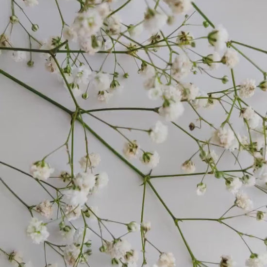 FALL LEAF EARRINGS | Autumn Earrings | Maple Leaf Earrings | Fall foliage earrings | Fall colors earrings | Woodland earrings | Fall hoops