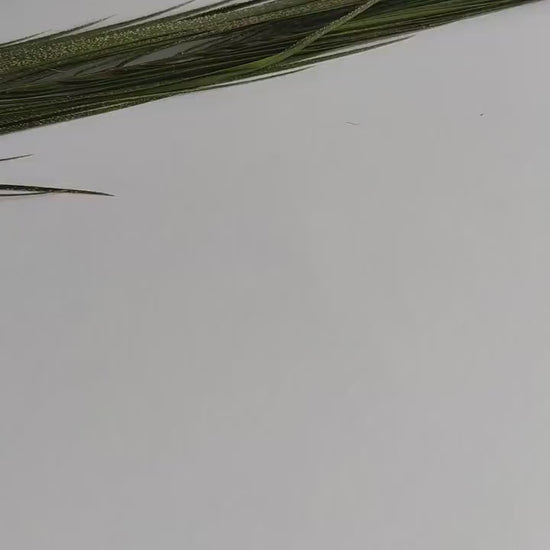 MAYA | Terracotta Earrings | Terracotta Boho Earrings | Dangle Polymer Clay Jewelry | autumn color | Jewelry Bijoux | Terracotta Art Deco