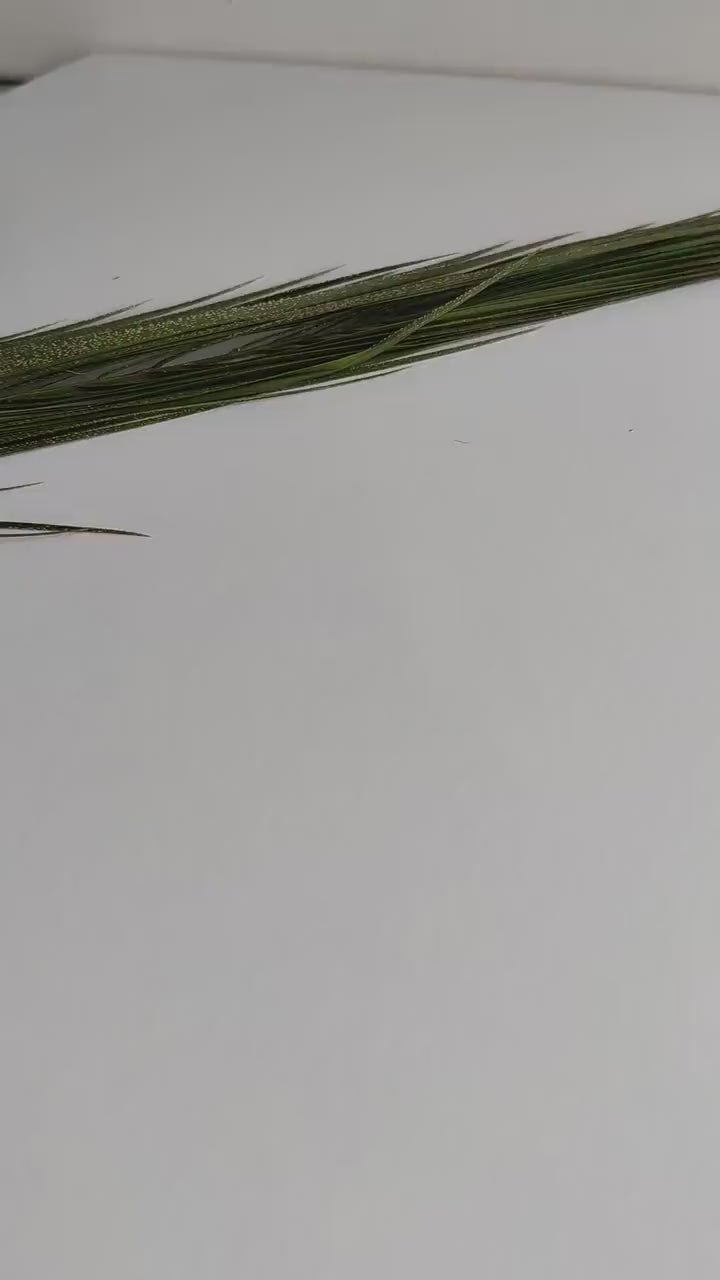 MAYA | Terracotta Earrings | Terracotta Boho Earrings | Dangle Polymer Clay Jewelry | autumn color | Jewelry Bijoux | Terracotta Art Deco